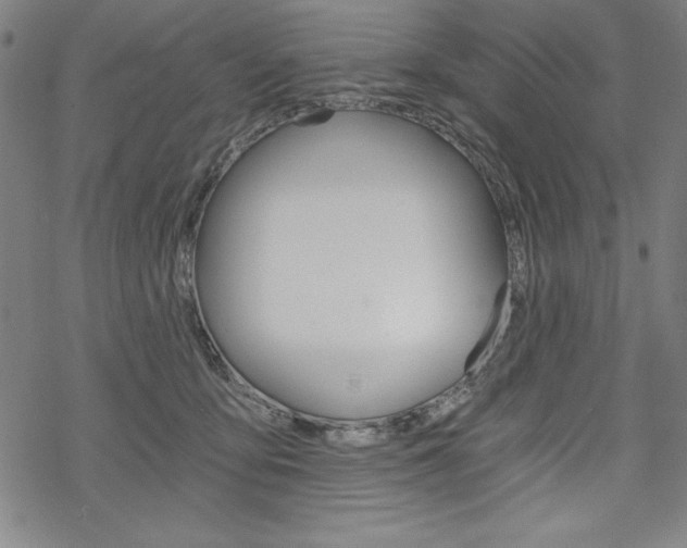 X0000068830419200605050923