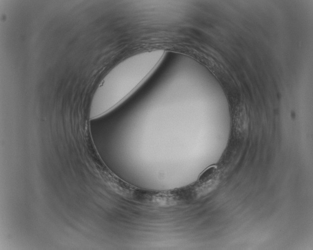 X0000068830420200605050923