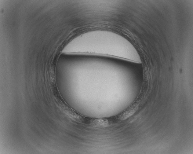 X0000068830421200605050923