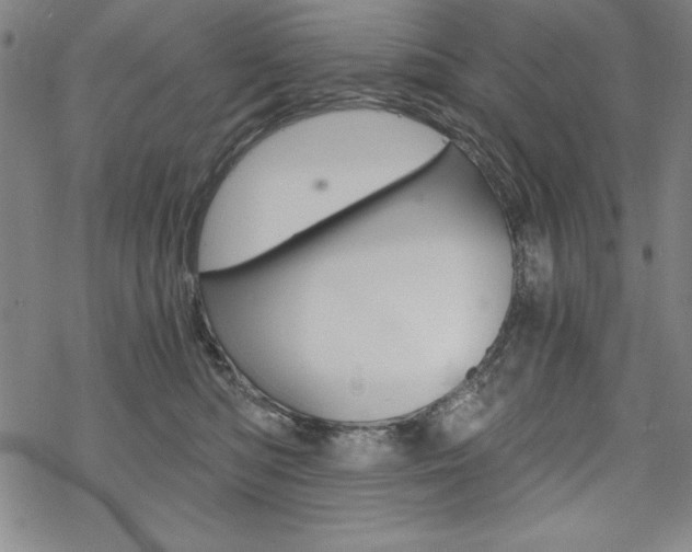 X0000068830422200605050923