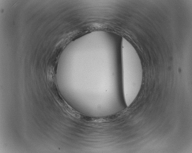 X0000068830423200605050923