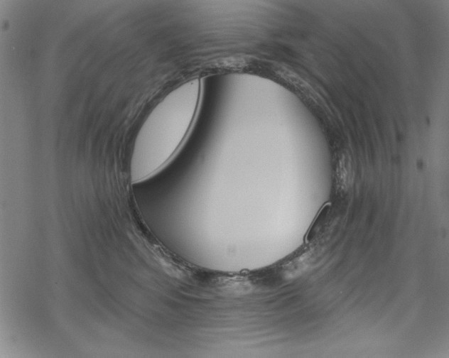 X0000068830424200605050923