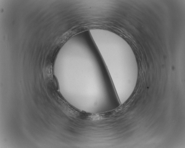 X0000068830425200605050923