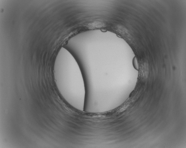 X0000068830426200605050923