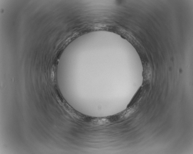 X0000068830427200605050923