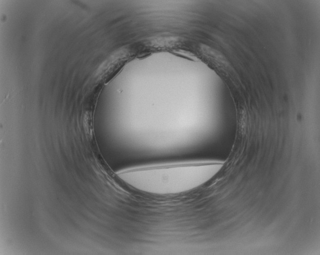 X0000068830428200605050923