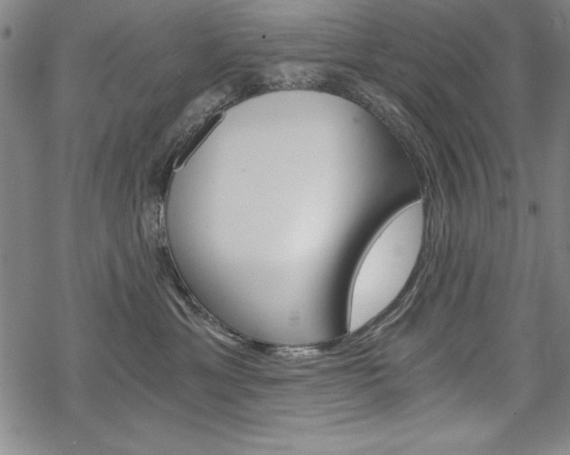 X0000068830429200605050923