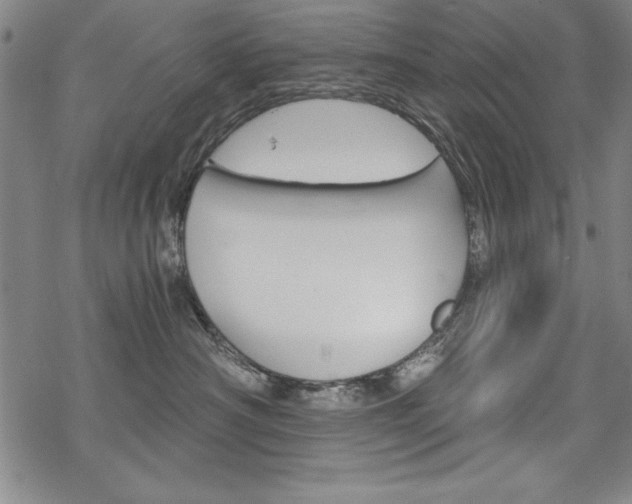 X0000068830430200605050923