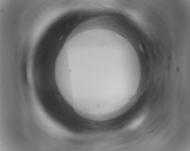 X0000068830431200605050923