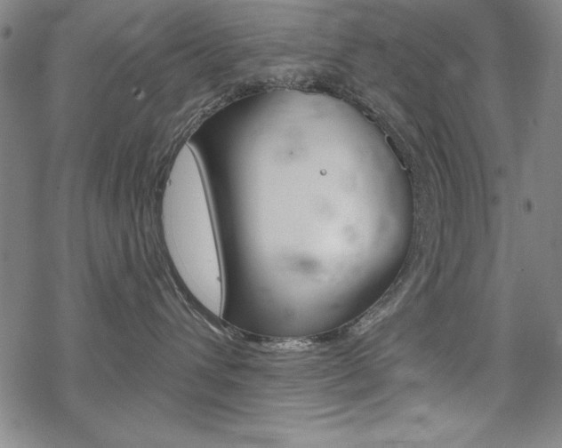 X0000068830432200605050923