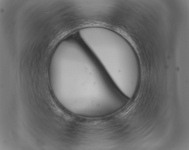 X0000068830433200605050922