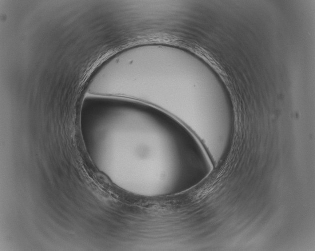 X0000068830434200605050922