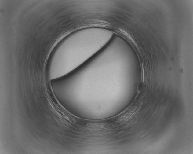 X0000068830435200605050922