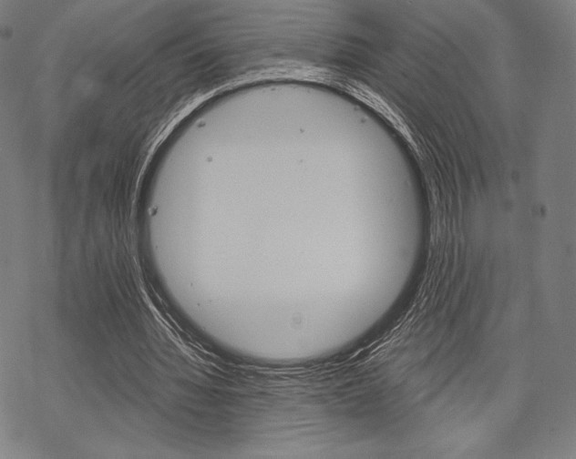 X0000068830436200605050922