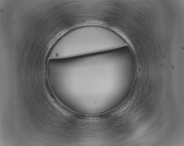 X0000068830437200605050922