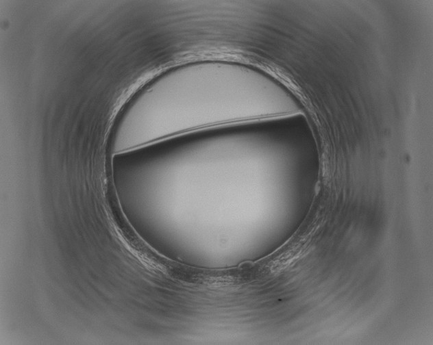 X0000068830438200605050922