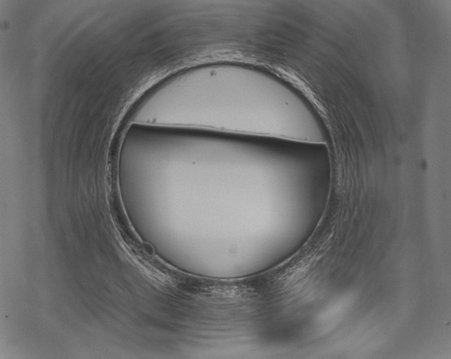 X0000068830439200605050922