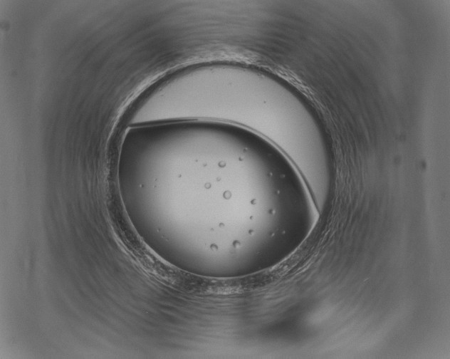 X0000068830440200605050922