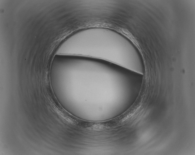 X0000068830441200605050922