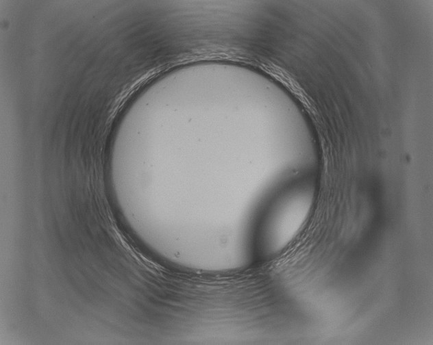 X0000068830442200605050922