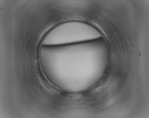 X0000068830443200605050922