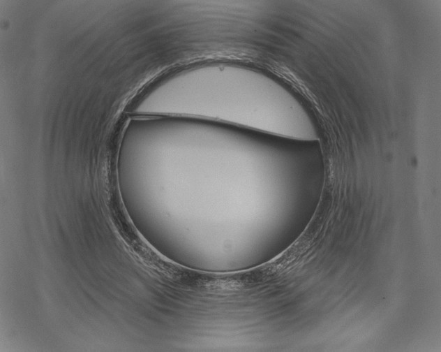 X0000068830444200605050922