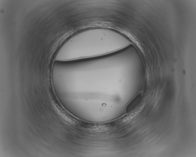 X0000068830445200605050922