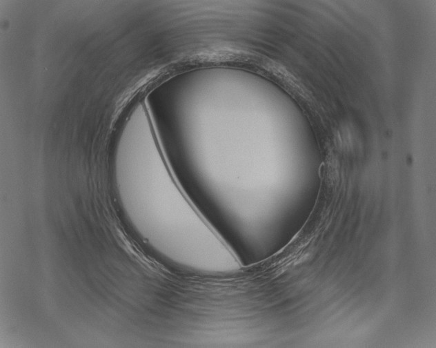 X0000068830446200605050922