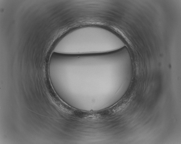 X0000068830447200605050922