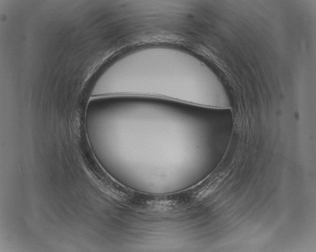 X0000068830448200605050922