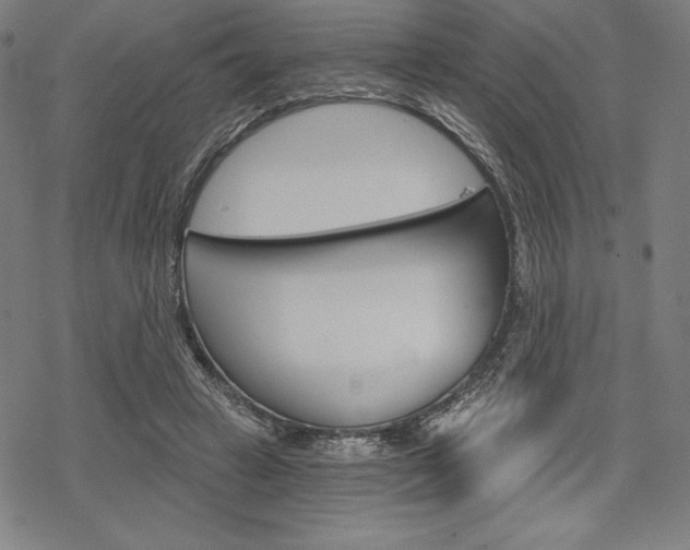 X0000068830449200605050922