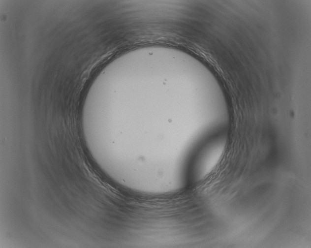 X0000068830450200605050922