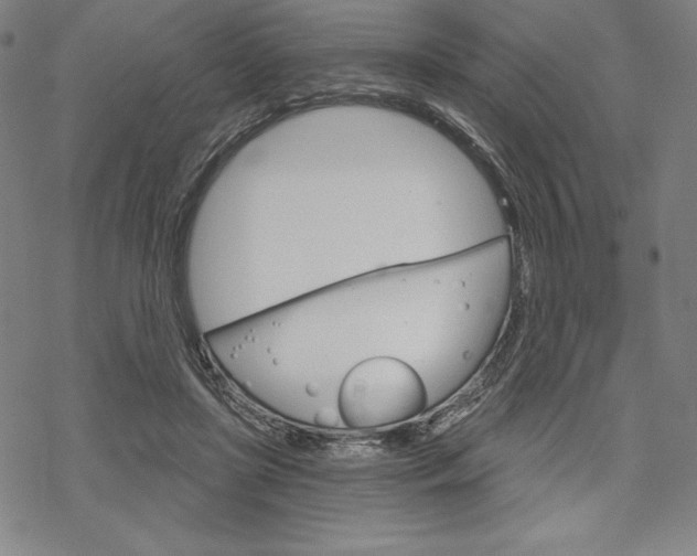 X0000068830451200605050922