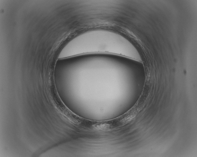 X0000068830452200605050922