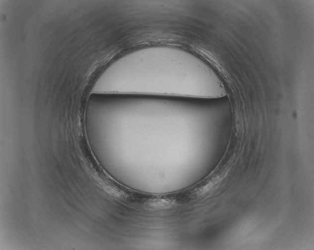 X0000068830453200605050922