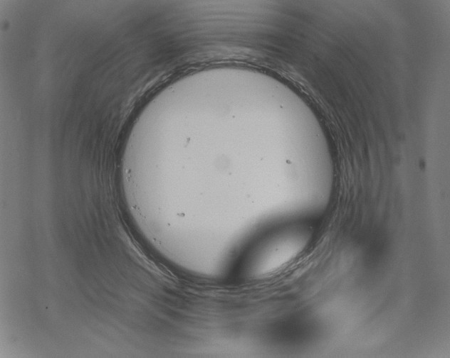 X0000068830454200605050922