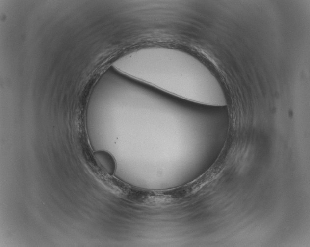 X0000068830455200605050922