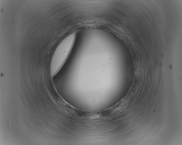 X0000068830456200605050922