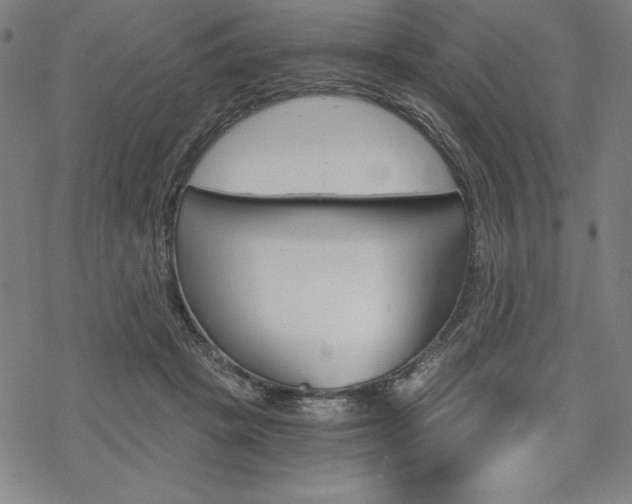 X0000068830457200605050922