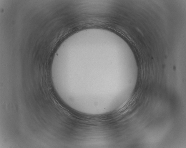 X0000068830458200605050922