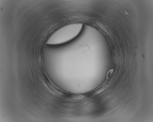 X0000068830459200605050922