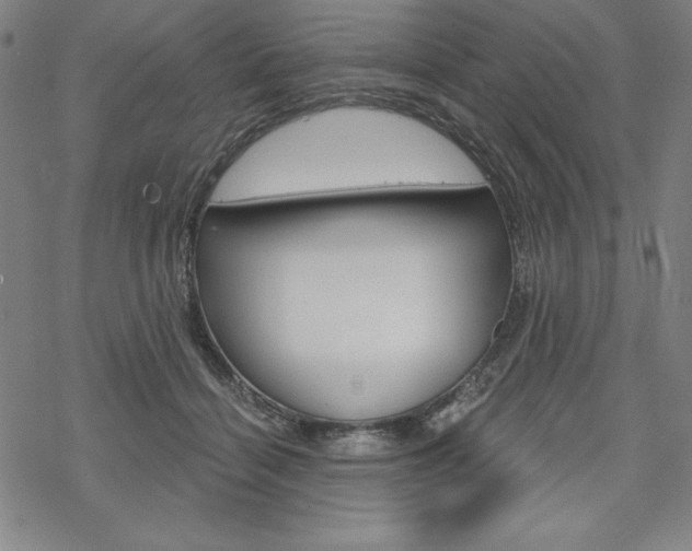 X0000068830460200605050922