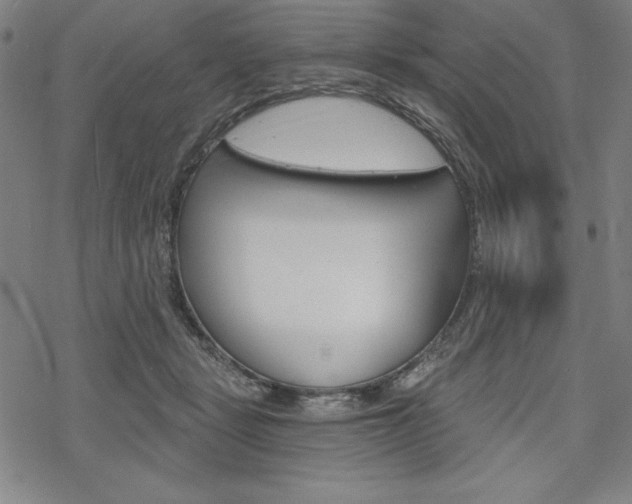 X0000068830461200605050922