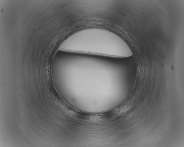 X0000068830462200605050922