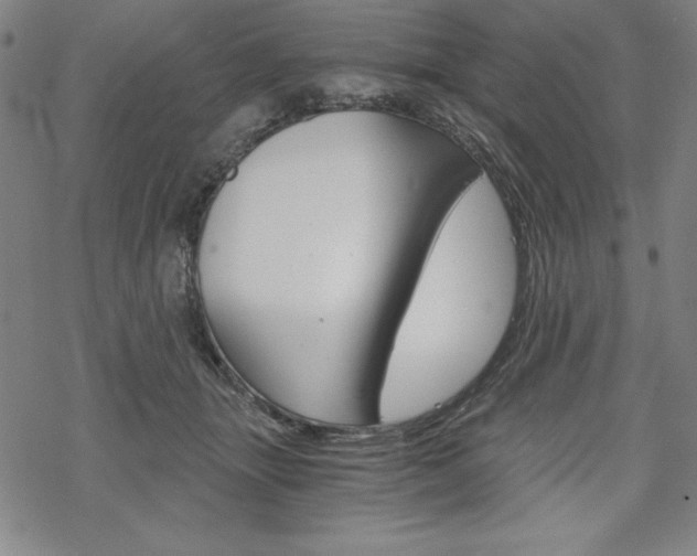 X0000068830463200605050922