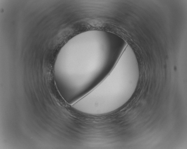 X0000068830464200605050922