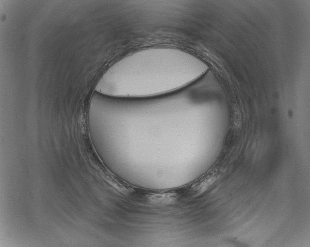 X0000068830465200605050922