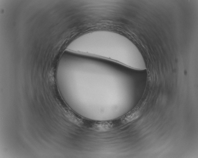 X0000068830466200605050922