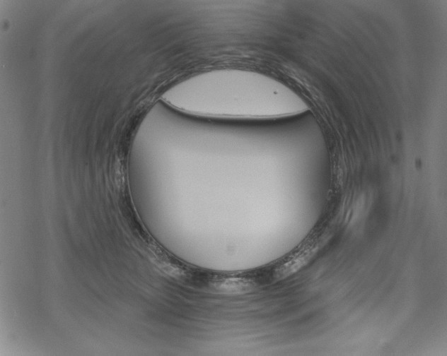 X0000068830467200605050922