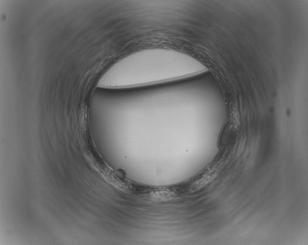 X0000068830468200605050922